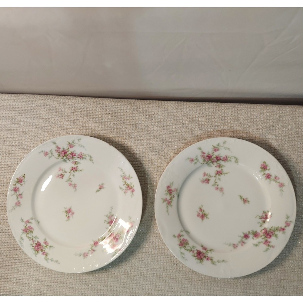 ANTIQUE Theodore Haviland Limoges France Patent Applied 2 Dinner‎ Plates Floral